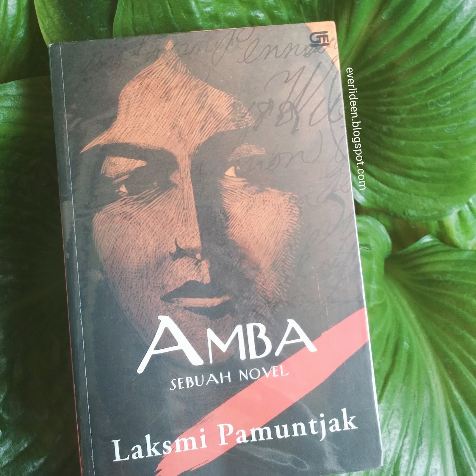 Sinopsis novel amba