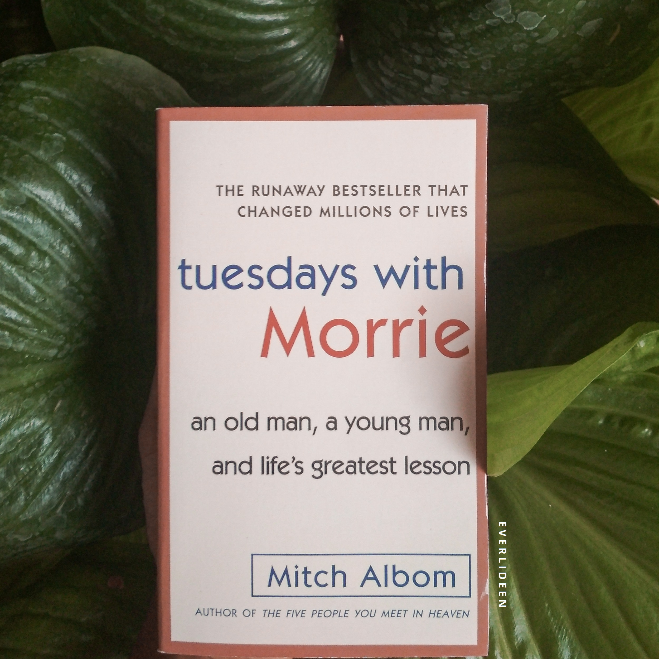 15 Pelajaran Tuesdays with Morrie yang Bisa Mengubah Hidupmu