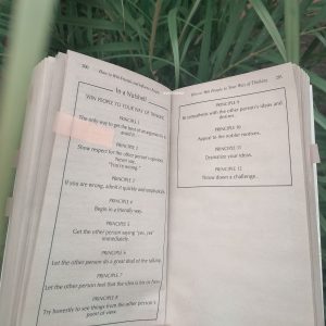 everlideen cara mencari teman