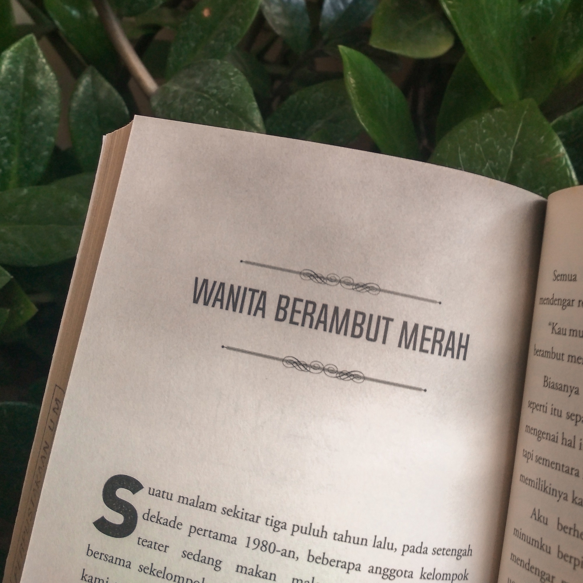 wanita berambut merah orphan pamuk novel