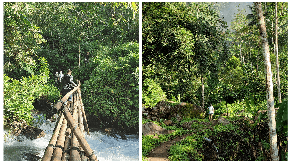 jembatan bambu dan perjalanan menuju air terjun kapas biru